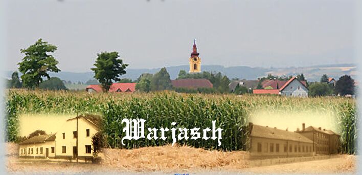 Warjasch